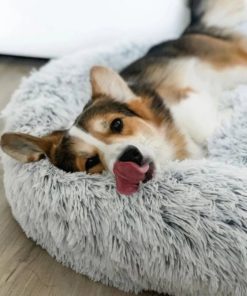 Comfy Calming Pet Bed